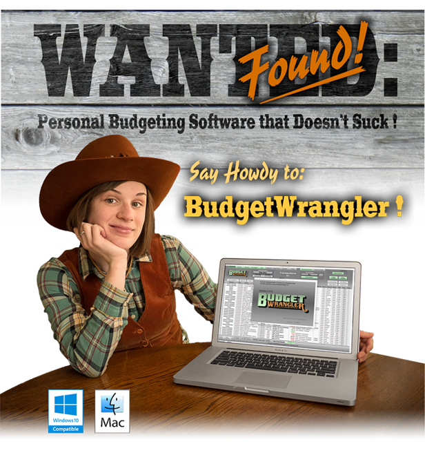 Say Howdy to BudgetWrangler